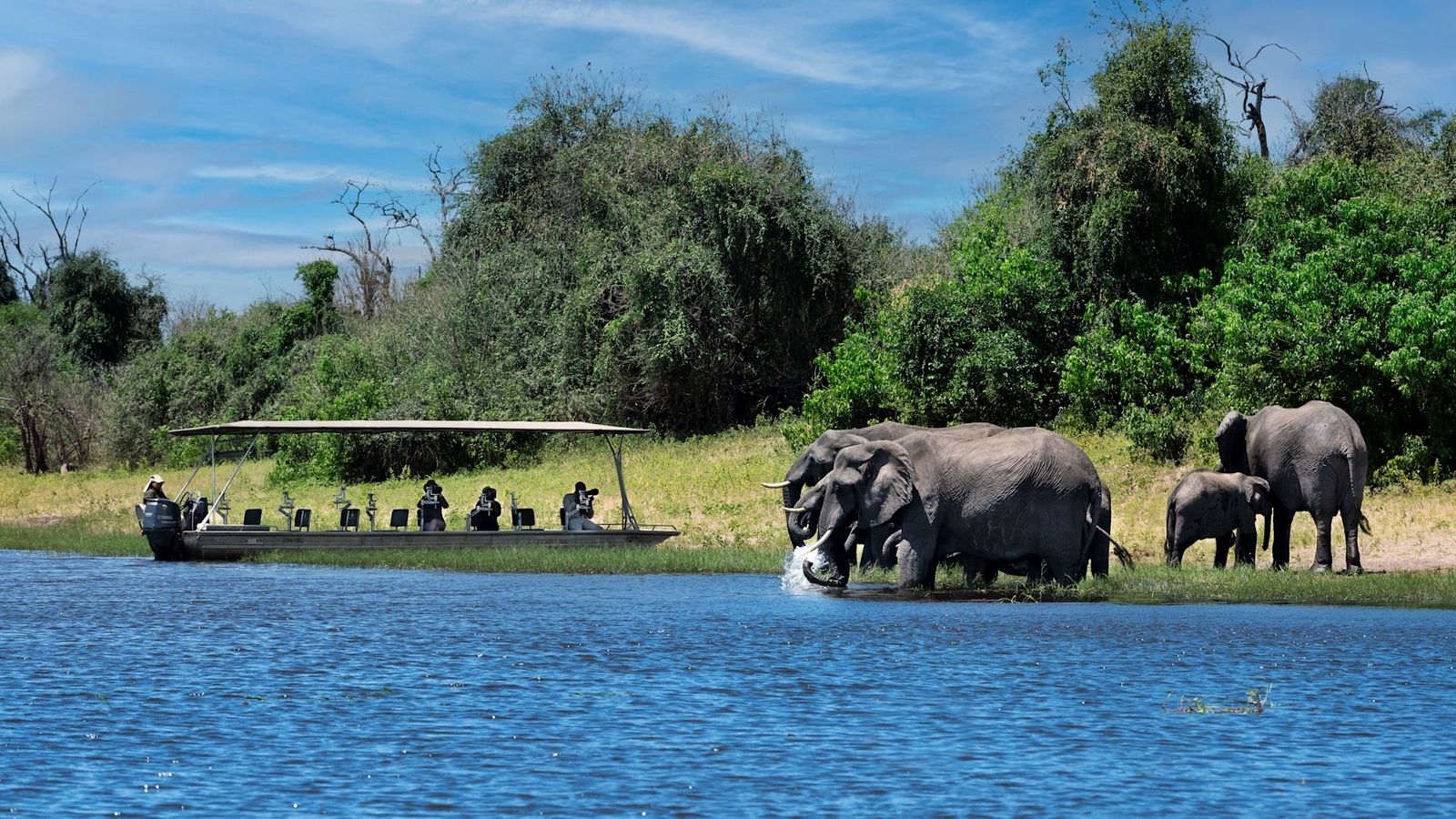 The Best Places for Wildlife Safaris 8