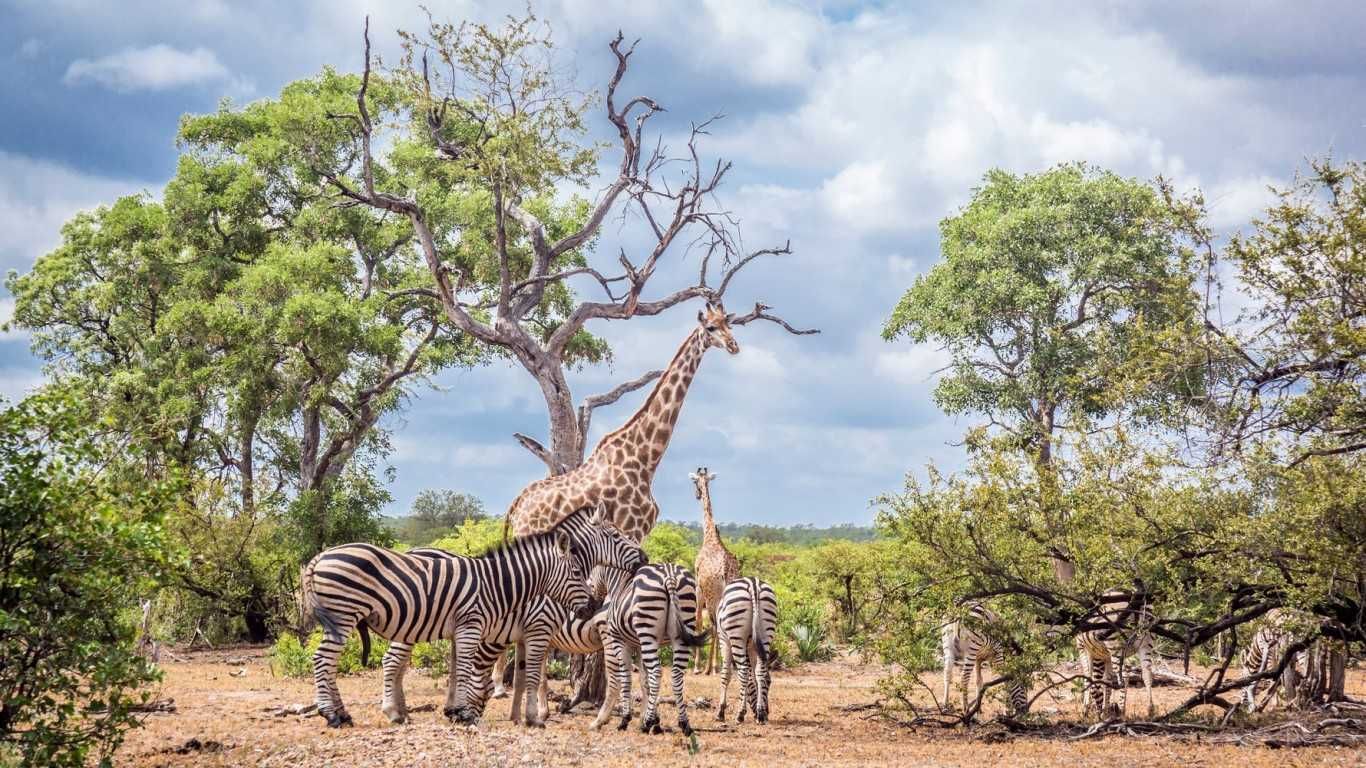 Top 12 Experiences Every First Time Visitor Must Have in South Africa