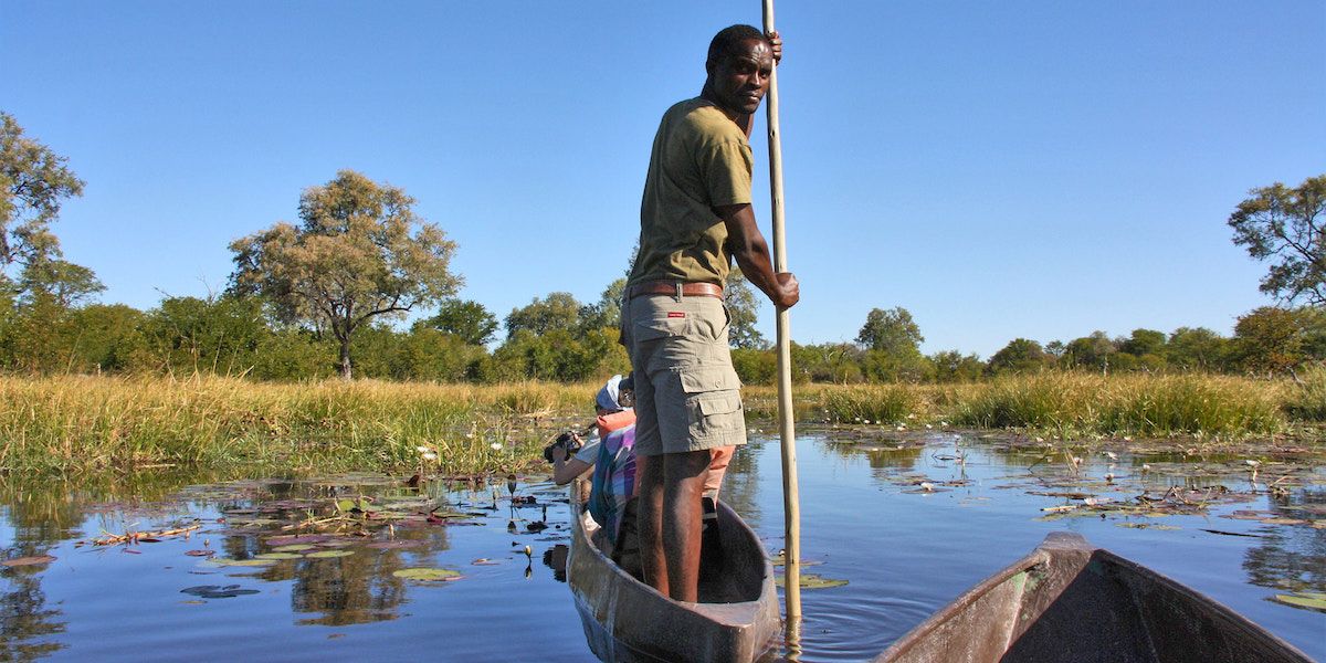 The Best Places for Wildlife Safaris 2