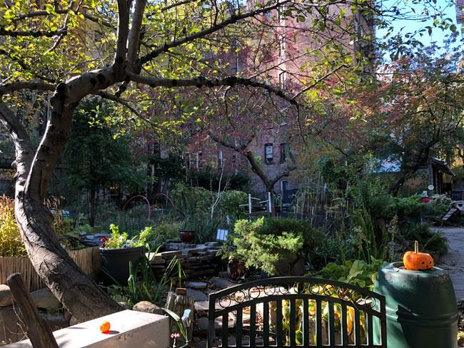 Shocking Hidden Gems in New York City You Must See 1