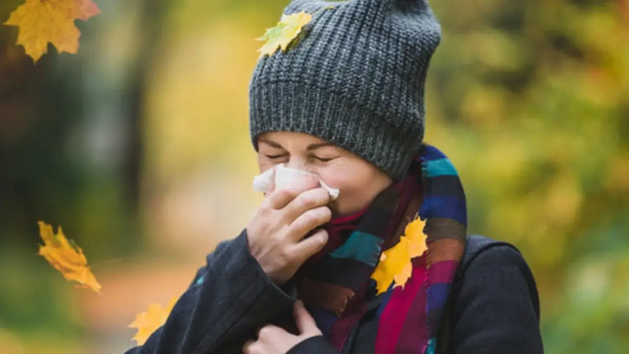 Autumn Cold Prevention in Finland: How to Protect Yourself This Season 1 Autumn Cold Prevention in Finland