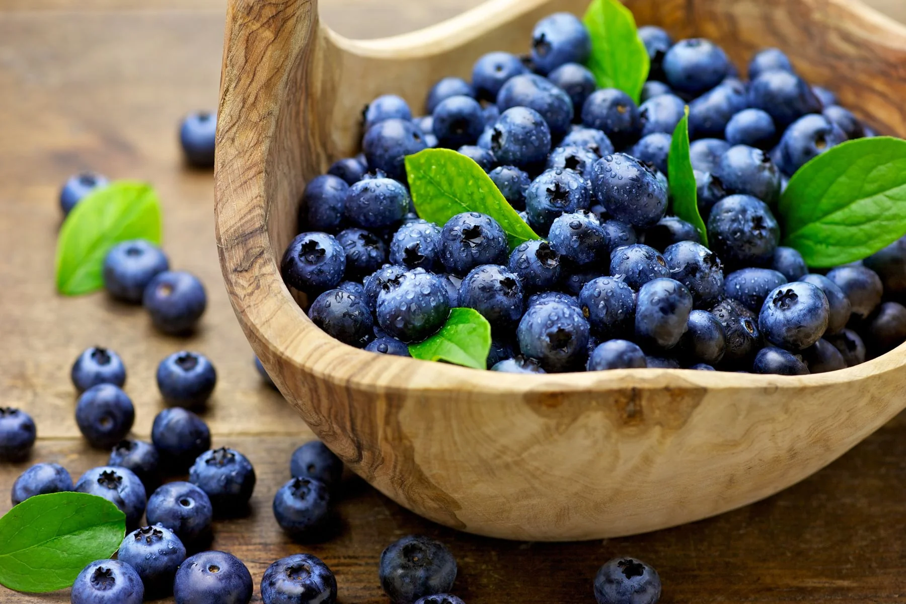 The Surprising Health Benefits of Blueberries 1 The Surprising Health Benefits of Blueberries