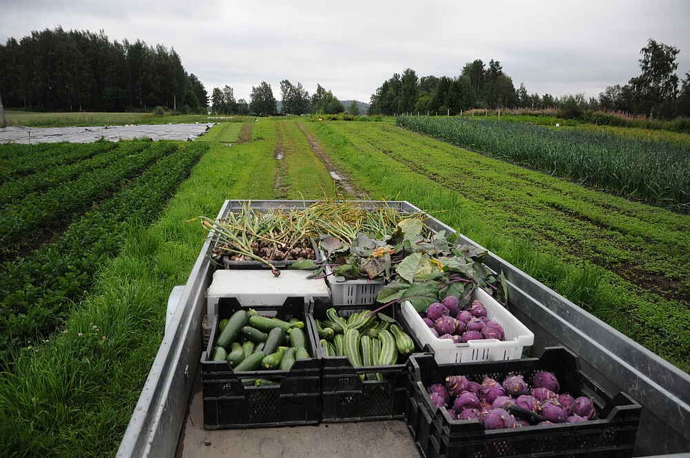 Finland Food Preparedness