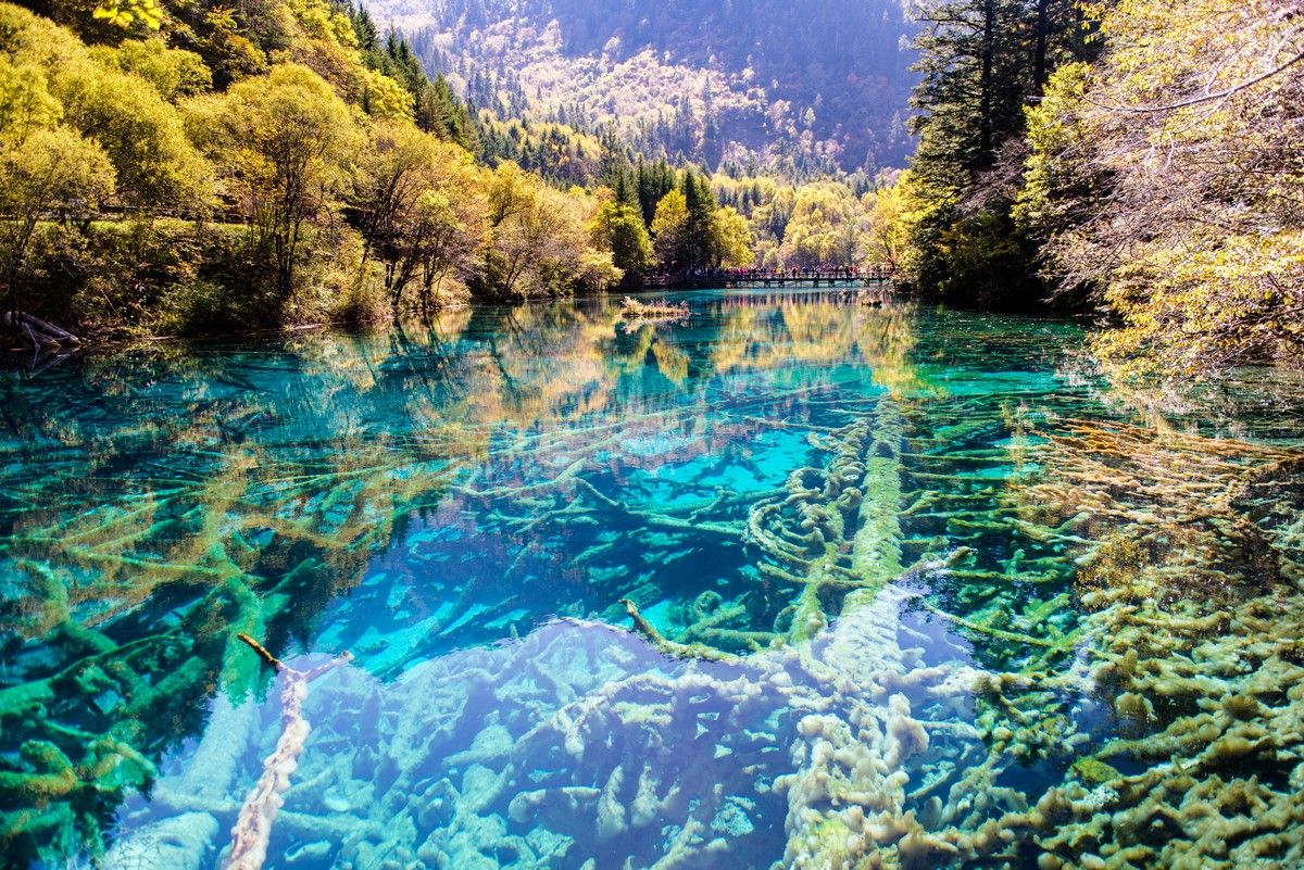 The Mystery of Lakes That Change Color Explained in Detail 3 Lakes That Change Color