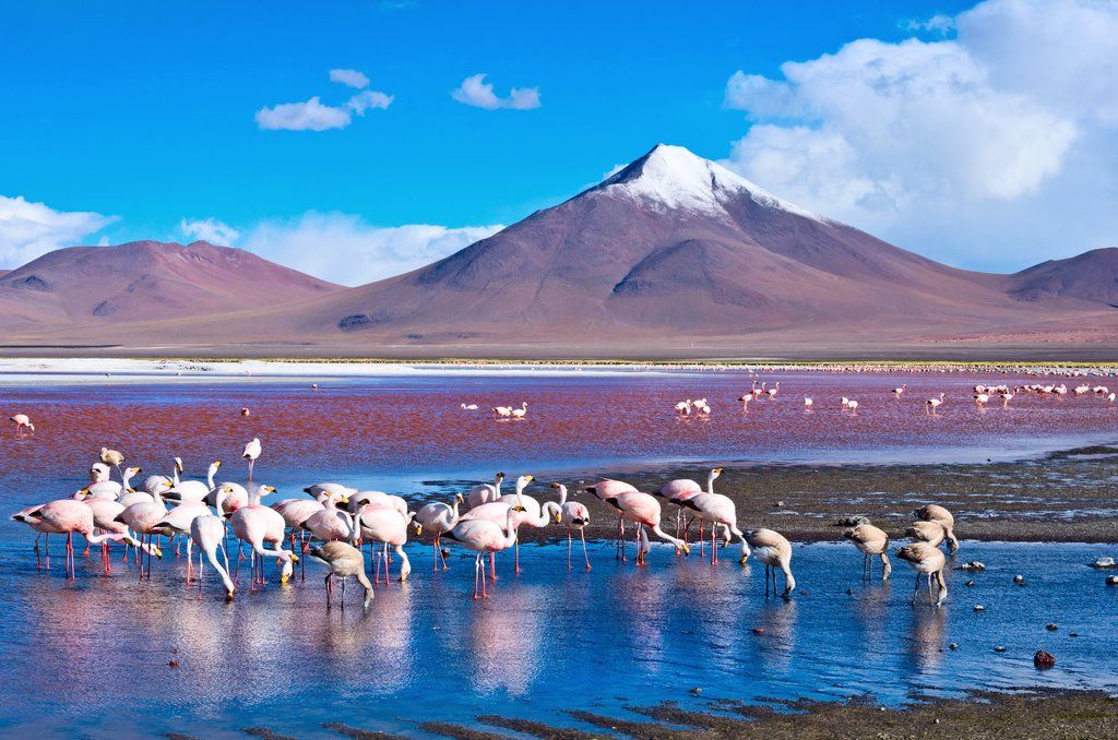 The Mystery of Lakes That Change Color Explained in Detail 1 Lakes That Change Color