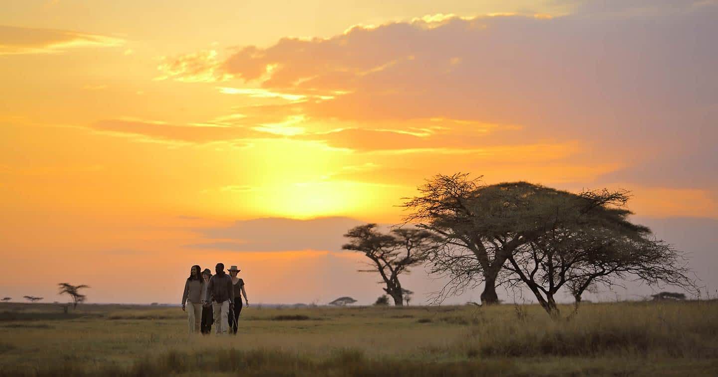 UNESCO Sites Worth the Hype: Timeless Wonders That Never Disappoint 8 UNESCO Sites Worth the Hype