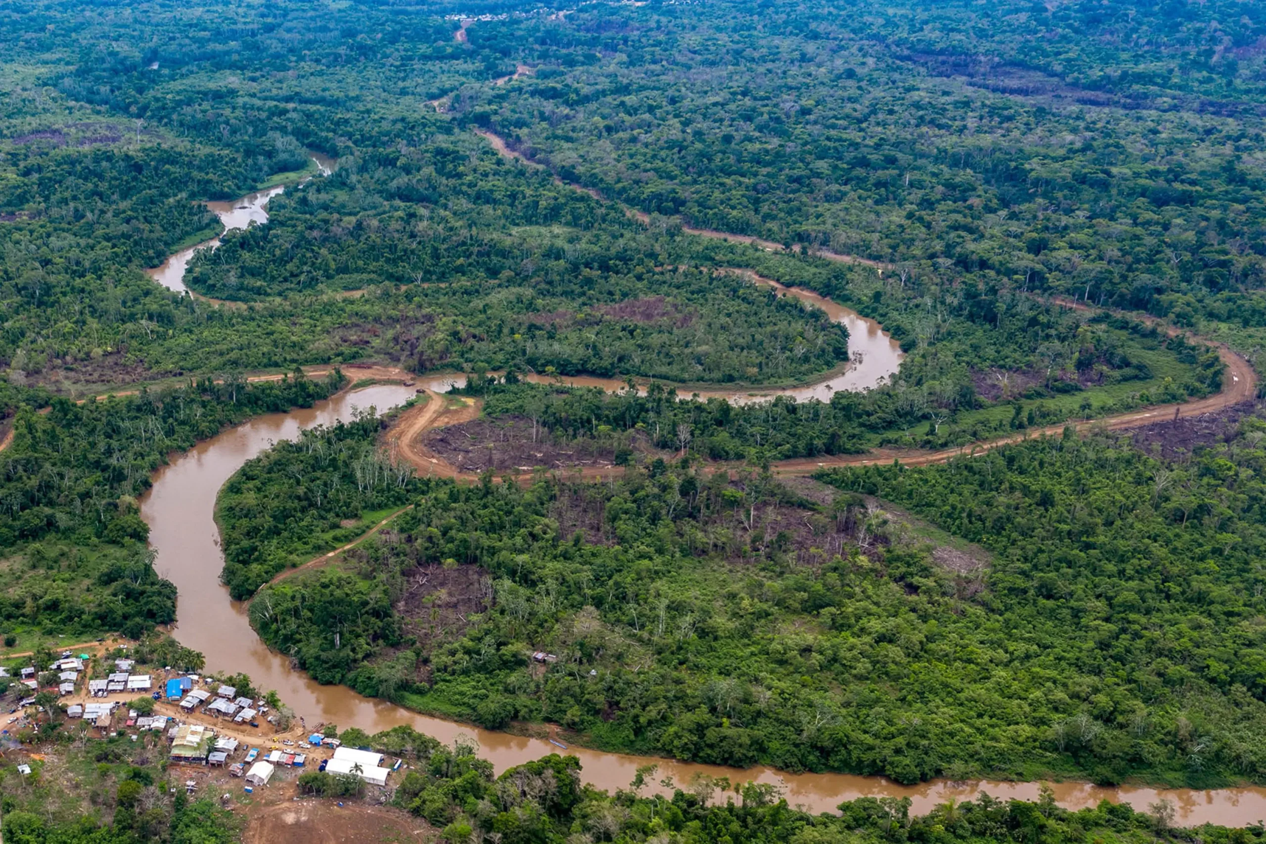 Inside the Jungles That Are Still Unexplored and What They Hide From Us 4 Inside the Jungles That Are Still Unexplored