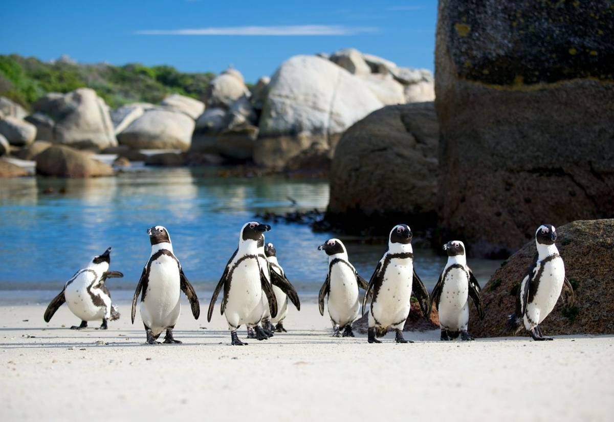 South Africa is Africa's Top Tourism Destination