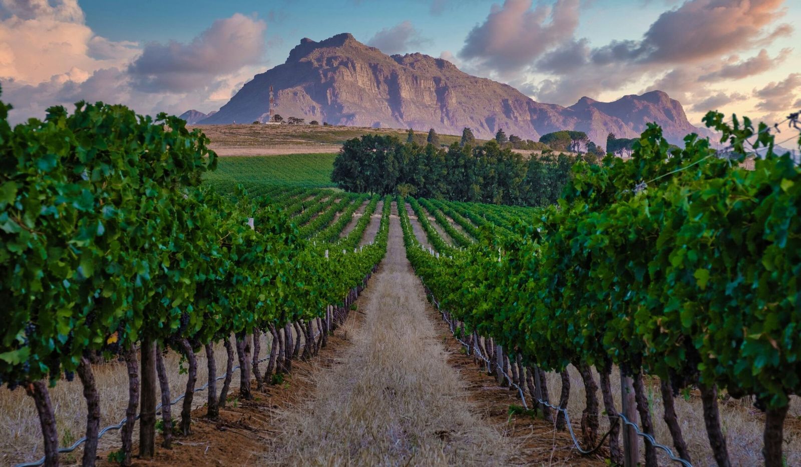South Africa is Africa's Top Tourism Destination