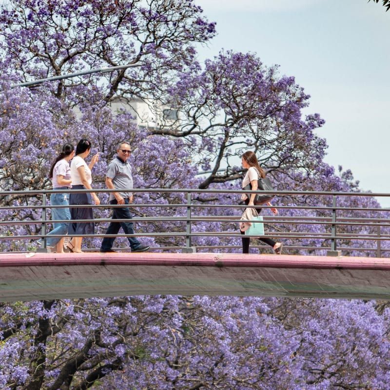 Spring Travel Destinations That Feel Better Before the Crowds Arrive 6 Spring Travel Destinations