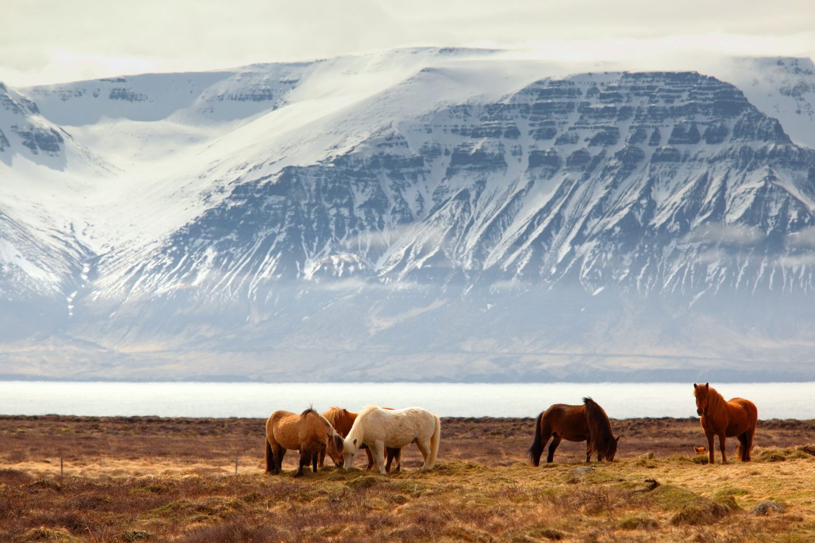 Why Iceland Feels Isolated