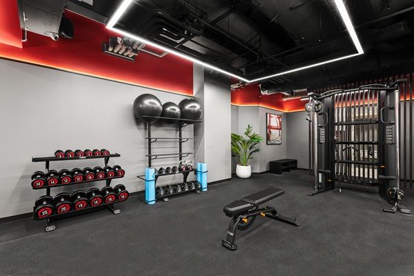 Radisson RED Auckland Opens as Radisson Hotel Group’s Debut in New Zealand 5 Radisson RED Auckland