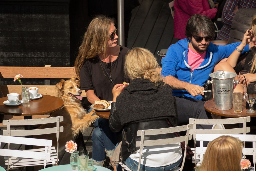 Why Nordic People Avoid Small Talk 2 Why Nordic People Avoid Small Talk
