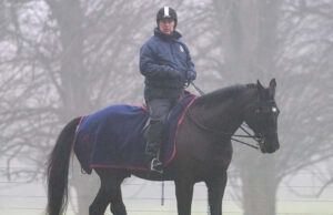 Former Prince Andrew Mountbatten-Windsor Banned from Horse Riding Around Sandringham Former Prince Andrew Mountbatten-Windsor