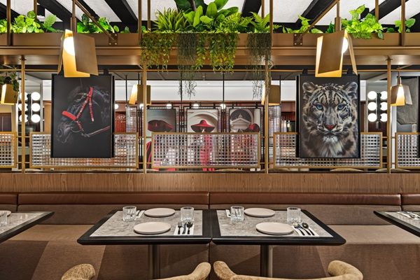 Radisson RED Auckland Opens as Radisson Hotel Group’s Debut in New Zealand 3 Radisson RED Auckland
