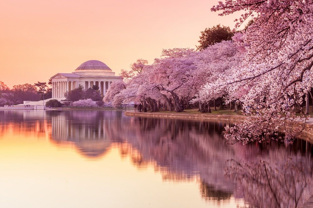 Spring Travel Destinations That Feel Better Before the Crowds Arrive 3 Spring Travel Destinations