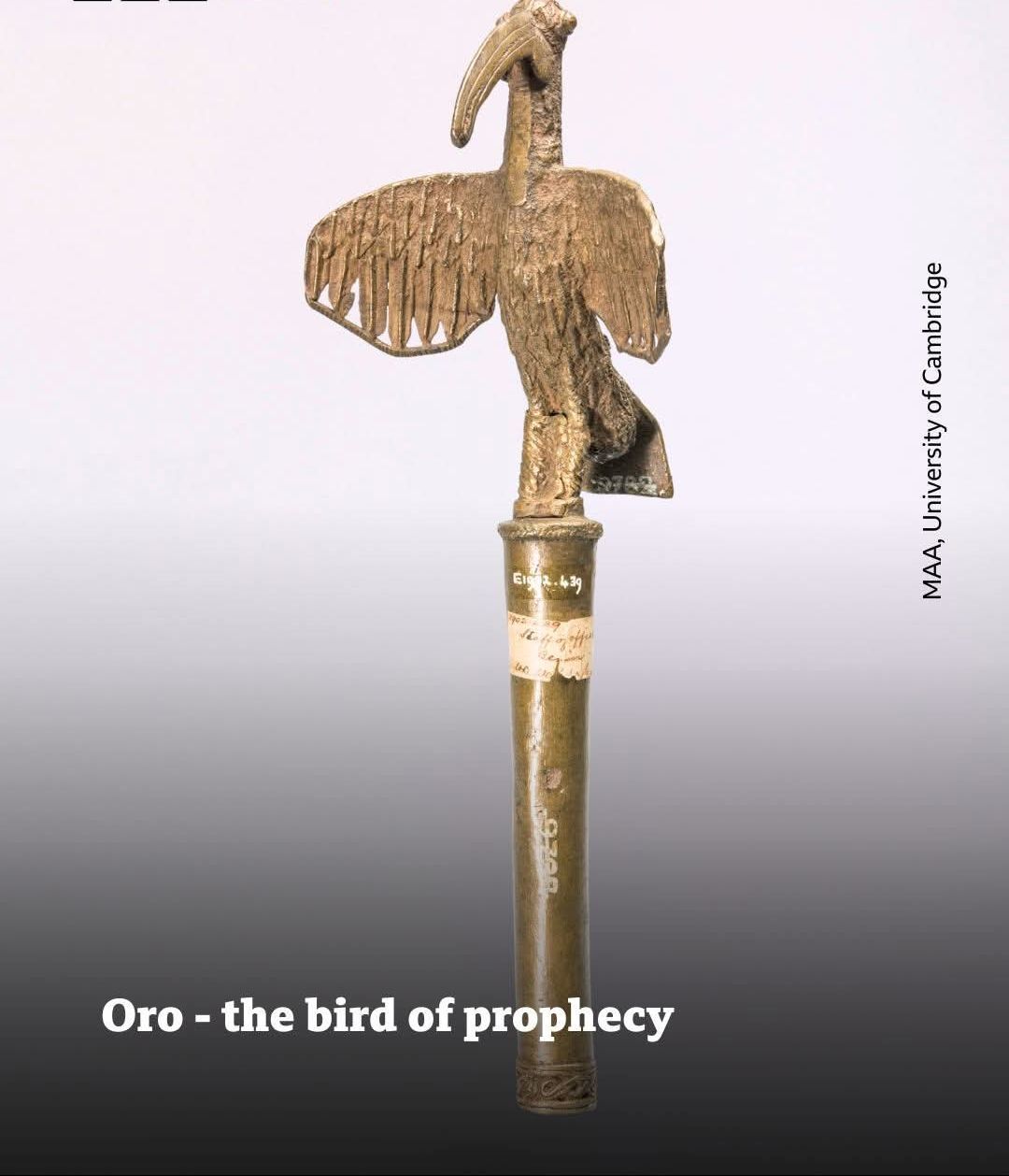 Cambridge University Returns 116 Benin Artefacts to Nigeria 4 Cambridge University Returns 116 Benin Artefacts to Nigeria