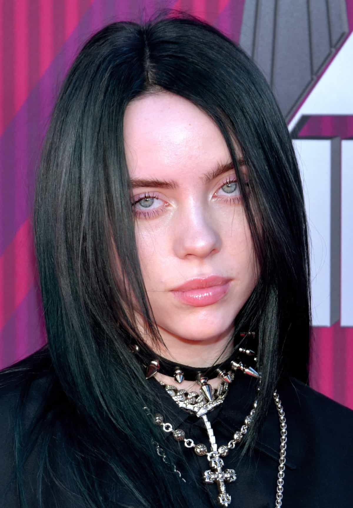 Man Once Accused of Stalking Billie Eilish Dies 