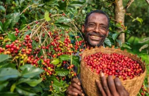 The Best Coffee Destinations in the World