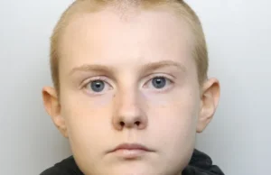 Hitler-Obsessed Teenager Pleads Guilty to Axe Attack in Bristol Hitler-Obsessed Teenager Pleads Guilty to Axe Attack in Bristol