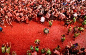 Food Festivals Worth Planning a Trip Around