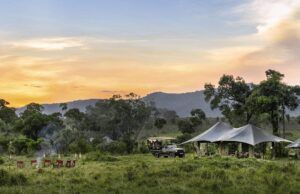African Eco-Lodges That Support Local Communities: Where Your Safari Money Actually Makes a Difference