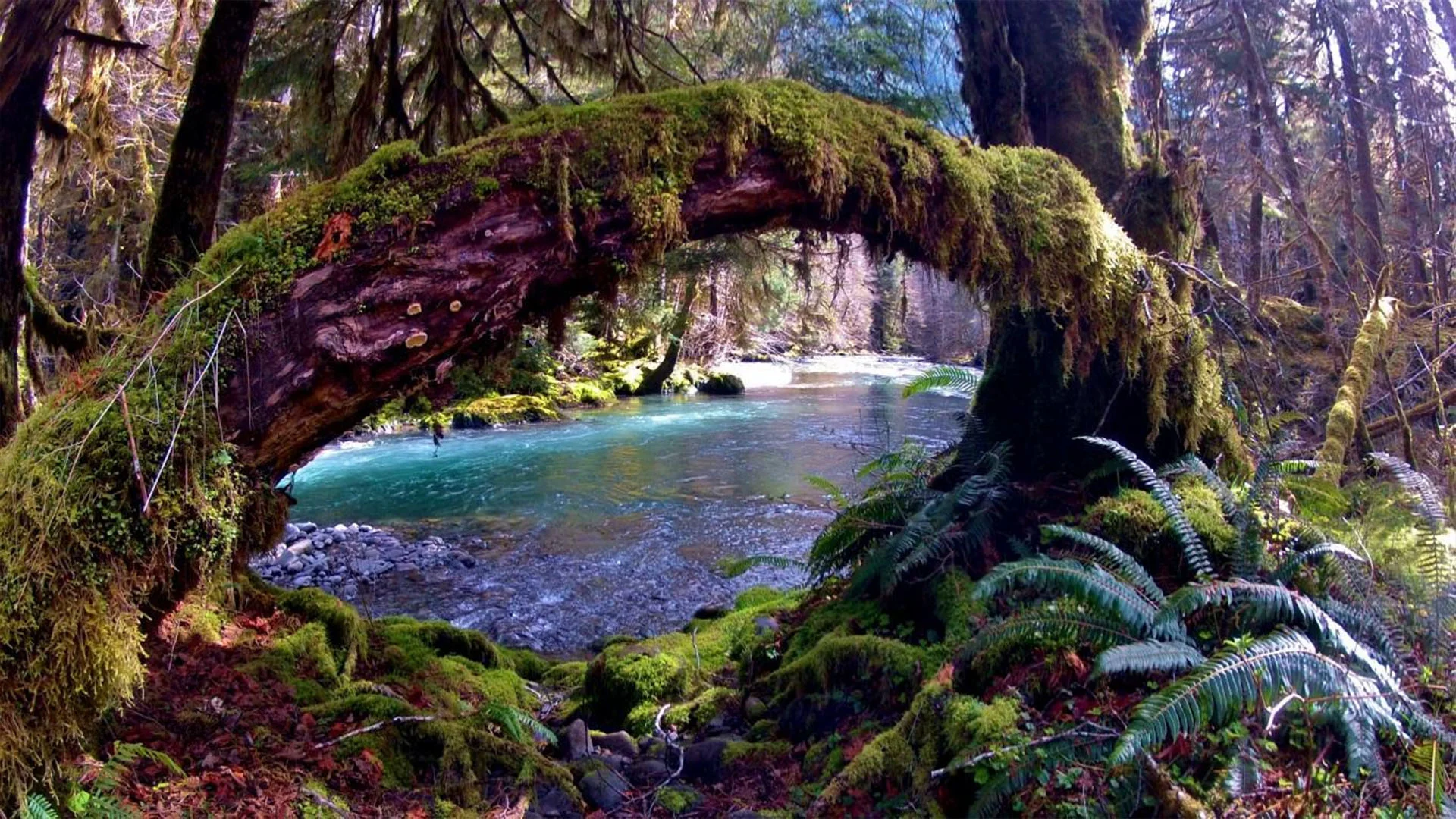 Best Places to Visit in the US in Summer