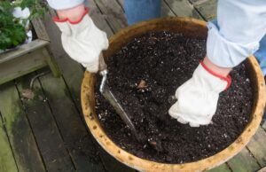 Record Legionella Cases in Finland Linked to Soil Exposure Record Legionella Cases in Finland Linked to Soil Exposure