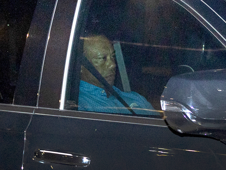 Tiger Woods DUI Arrest