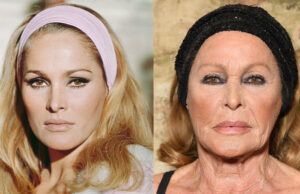 Italy Seizes Assets Linked to Ursula Andress Fraud Investigation Italy Seizes Assets Linked to Ursula Andress Fraud Investigation