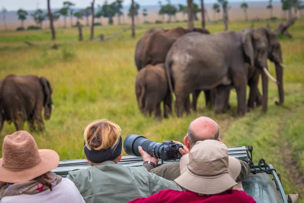 Countries in Africa with the Biggest Safari Tourism Market 1 Countries in Africa with the Biggest Safari Tourism Market