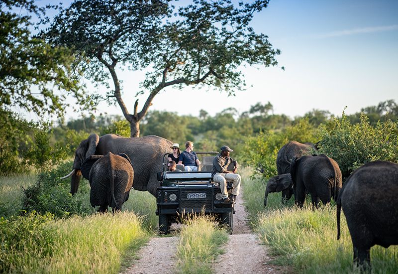 Countries in Africa with the Biggest Safari Tourism Market 4 Countries in Africa with the Biggest Safari Tourism Market