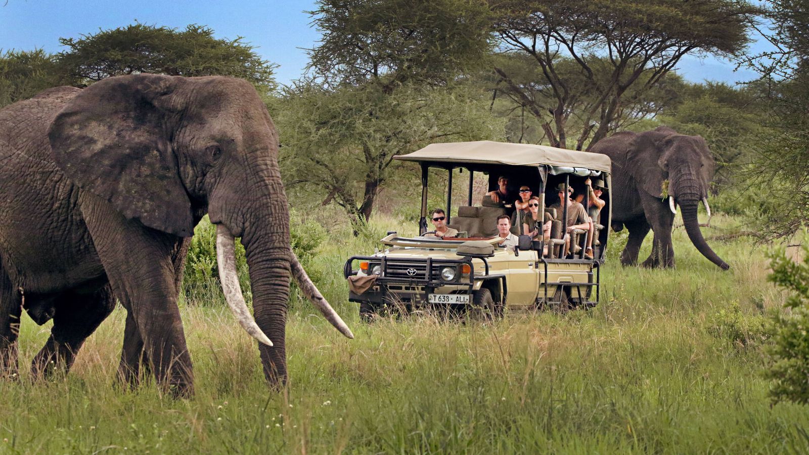 Countries in Africa with the Biggest Safari Tourism Market 3 Countries in Africa with the Biggest Safari Tourism Market