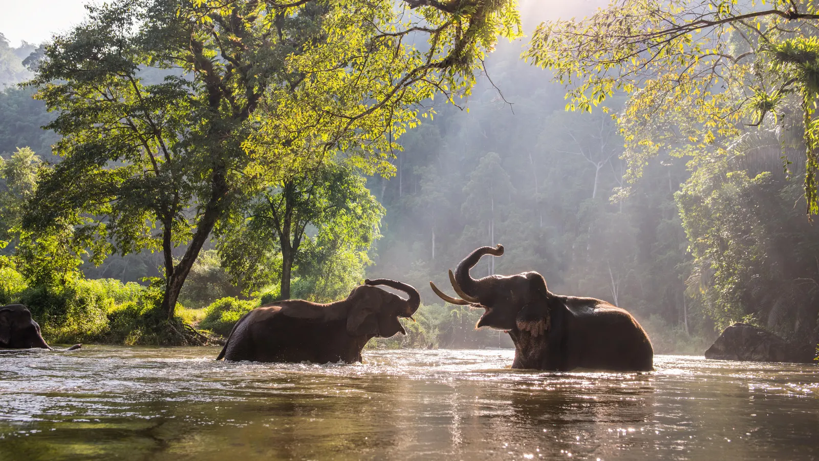 Check Out the Daily Budget for Traveling in Thailand 4 Daily Budget for Traveling in Thailand