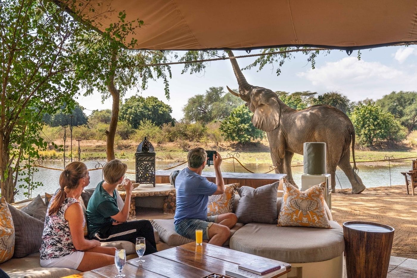 Countries in Africa with the Biggest Safari Tourism Market 8 Countries in Africa with the Biggest Safari Tourism Market