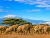 The destinations quietly becoming popular with African travelers