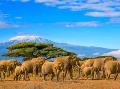 The destinations quietly becoming popular with African travelers