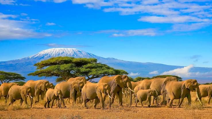 The destinations quietly becoming popular with African travelers