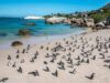 Beyond the Postcard: The Places Locals Actually Recommend Beyond the Postcard: The Places Locals Actually Recommend