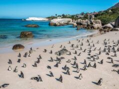 Beyond the Postcard: The Places Locals Actually Recommend Beyond the Postcard: The Places Locals Actually Recommend