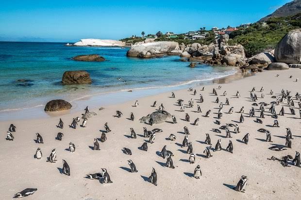 Beyond the Postcard: The Places Locals Actually Recommend 1 Beyond the Postcard: The Places Locals Actually Recommend