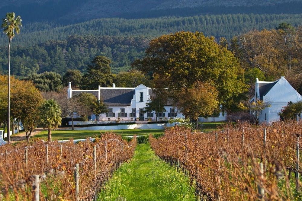 Klein Constantia brings 340 years of winemaking and South African hospitality to Cape Town's Constantia Valley 4 Klein Constantia brings 340 years of winemaking and South African hospitality to Cape Town's Constantia Valley