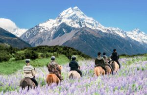 Off-season travel can offer lower costs, quieter destinations and a different way to experience a place Off-season travel can offer lower costs, quieter destinations and a different way to experience a place
