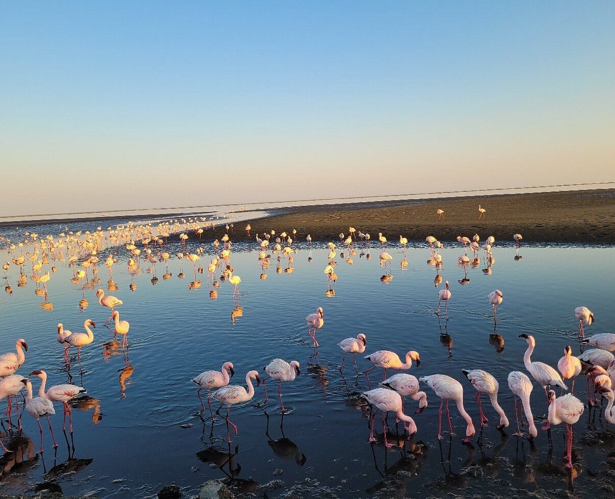 African Beach Destinations Beyond the Familiar Names 7 African Beach Destinations Beyond the Familiar Names