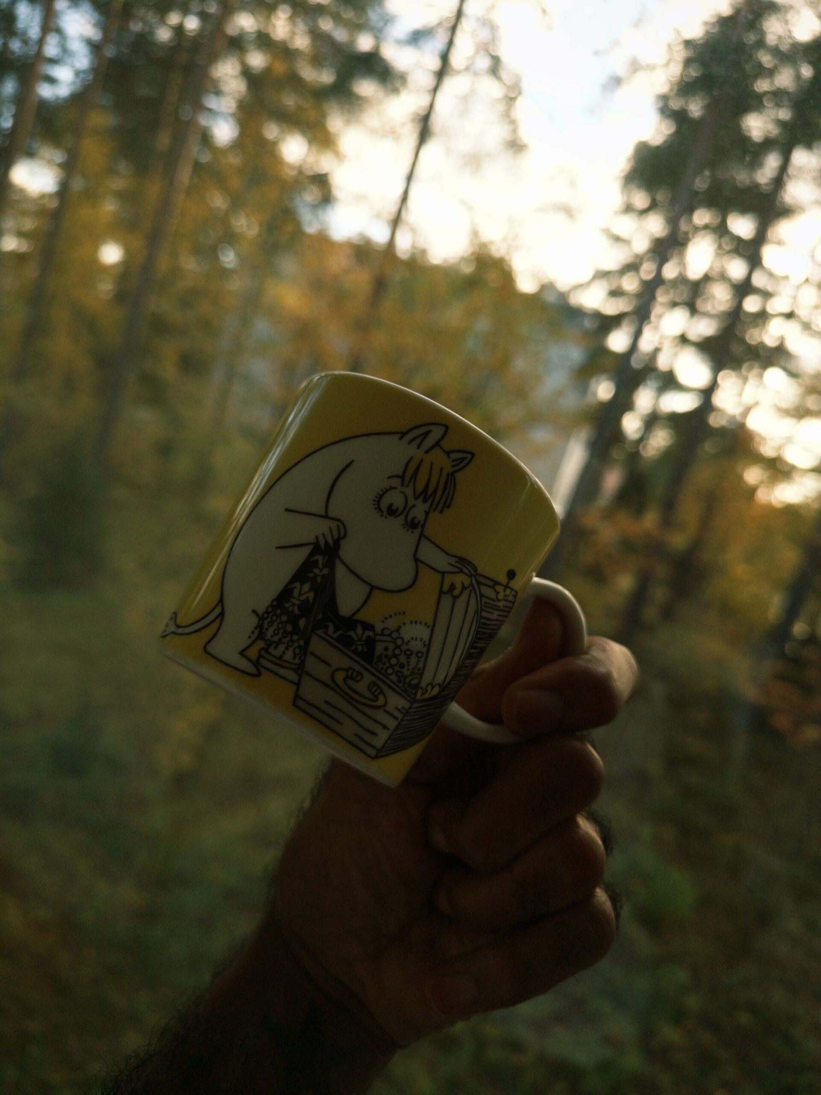 Rare Moomin mug sells for more than EUR46,000 in record-breaking collector's sale 1 Moomin mug