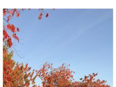Finland Set for Colder Autumn Weather as Road-Ice Risk Increases Finland Set for Colder Autumn Weather as Road-Ice Risk Increases